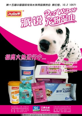 寵物用品海報設計模板 創(chuàng)意與實用的完美結合