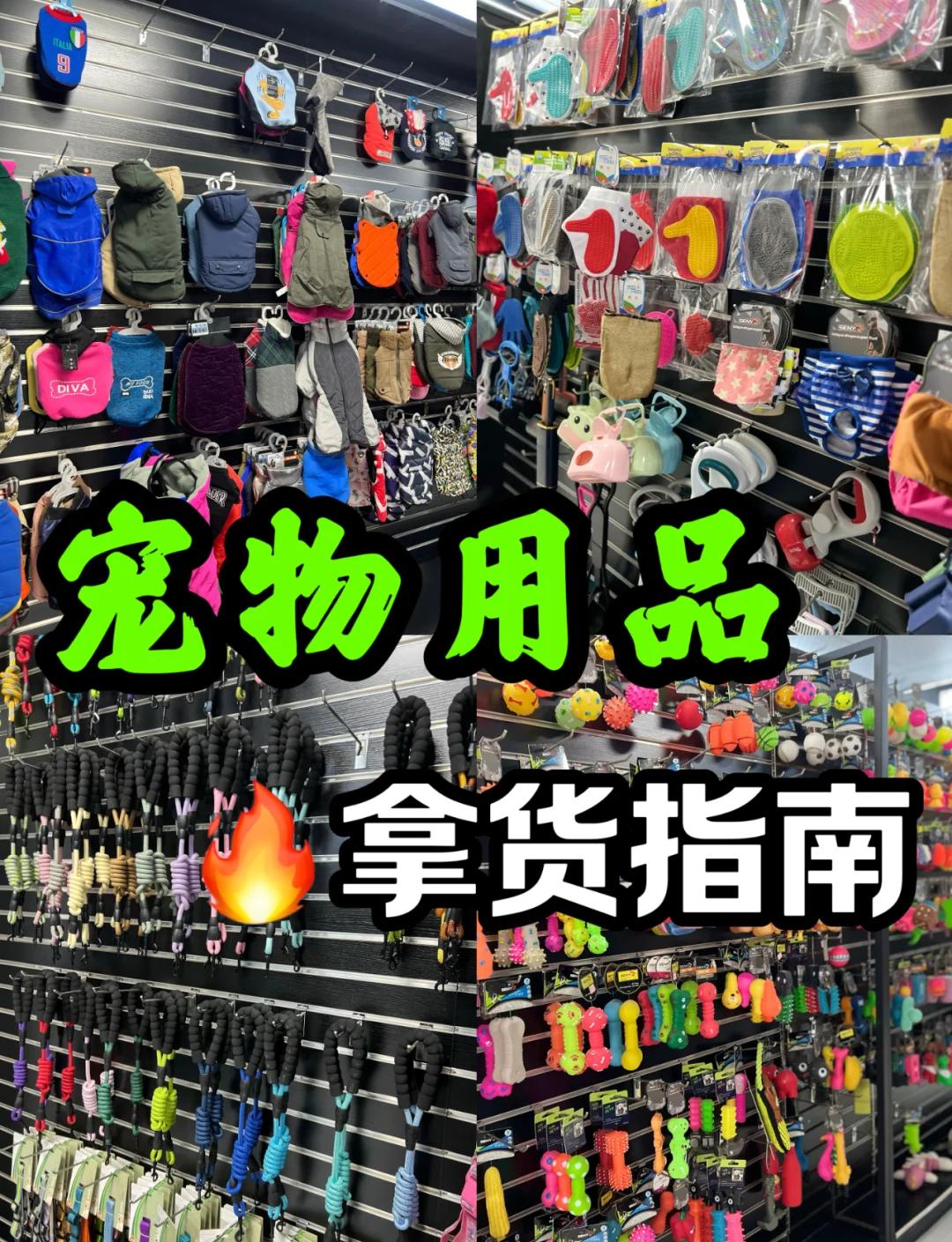 義烏寵物用品批發市場全攻略 新手入門必讀指南