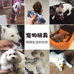 狗狗玩具選購指南 耐咬訓(xùn)練發(fā)聲球，滿足幼犬泰迪金毛等大小型犬需求